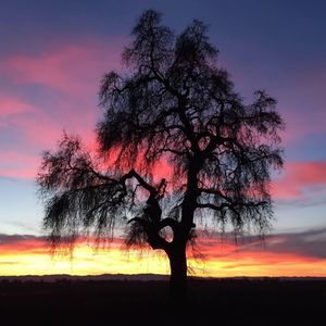 Meet your Posher, Shelly